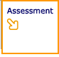 Assessment