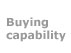 Buying capability