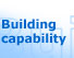 Building capability