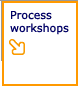 Process workshops