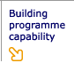 Building programme capability