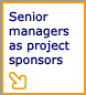 Senior managers as project sponsors