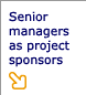 Senior managers as project sponsors