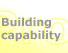 Building capability