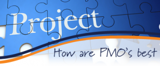 What is the focus of a PMO?