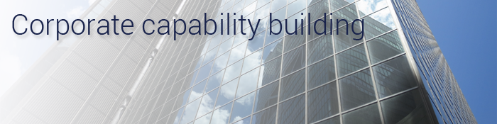 Corporate capability building