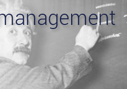 knowledge management programme